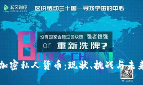 英国加密私人货币：现状、挑战与未来展望