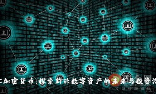 SIC加密货币:探索新兴数字资产的未来与投资潜力