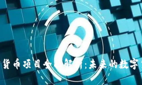 Facebook 加密货币项目全面解析：未来的数字货币与金融生态