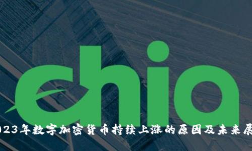 2023年数字加密货币持续上涨的原因及未来展望