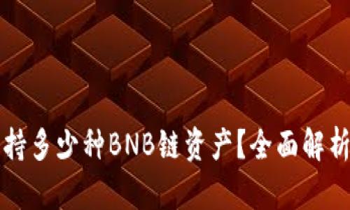 TP钱包能支持多少种BNB链资产?全面解析及使用指南