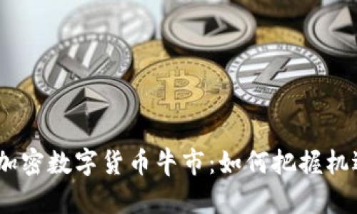 2021年加密数字货币牛市:如何把握机遇与风险