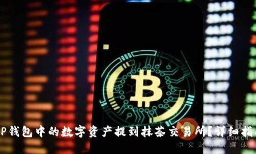 如何将TP钱包中的数字资产提到抹茶交易所?详细指南与FAQ