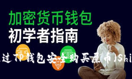 如何通过TP钱包安全购买屎币(Shitcoin)