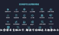 加密货币重组上市：解读市场动态与投资机会