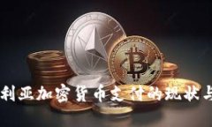 了解保加利亚加密货币支付的现状与未来发展