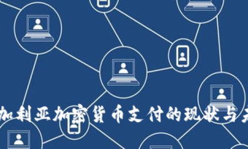 了解保加利亚加密货币支付的现状与未来发展
