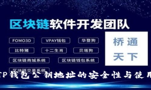 探索TP钱包公钥地址的安全性与使用指南