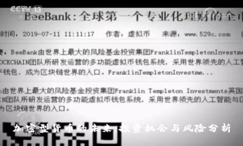 加密型货币的未来：投资机会与风险分析