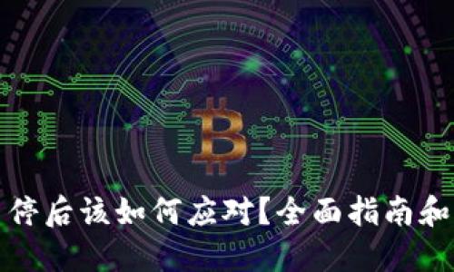 TP钱包关停后该如何应对？全面指南和解决方案