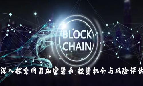 深入探索网易加密货币：投资机会与风险评估