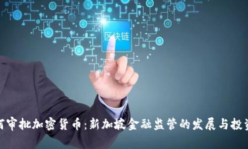 MAS如何审批加密货币：新加坡金融监管的发展与投资者利益