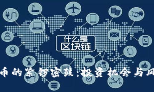 加密货币的紧锣密鼓：投资机会与风险解析