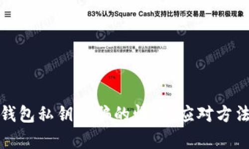 如何处理tp钱包私钥被骗的情况:应对方法与安全建议