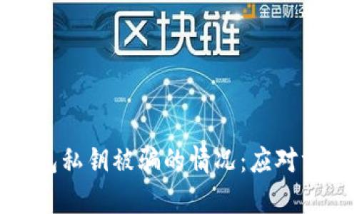 如何处理tp钱包私钥被骗的情况:应对方法与安全建议