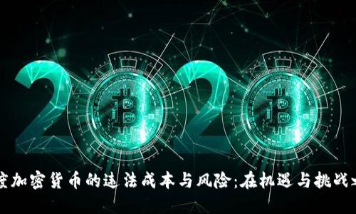印度加密货币的违法成本与风险：在机遇与挑战之间
