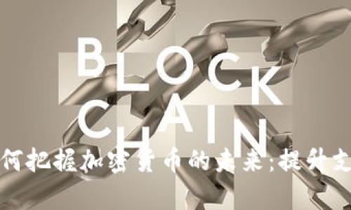 国际支付巨头如何把握加密货币的未来：提升支付效率与安全性