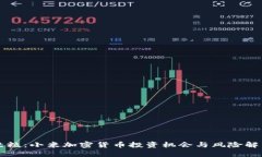 米粒：小米加密货币投资机会与风险解析