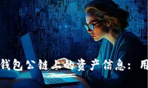 : 如何高效查询TP钱包公链上的资产信息: 用户指南与实用技巧