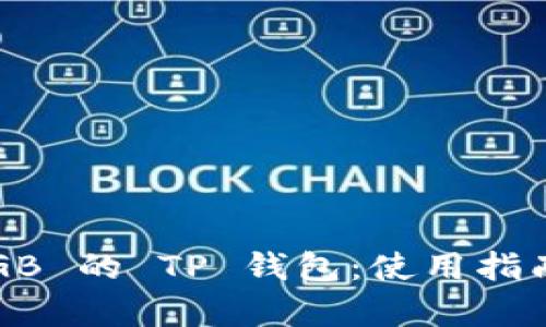 全面解析 SGB 的 TP 钱包：使用指南与最佳实践