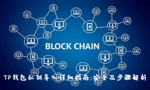 TP钱包私钥导入详细指南：安全及步骤解析