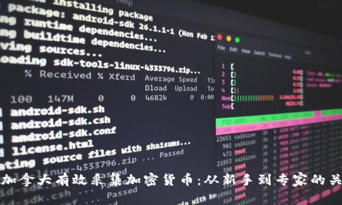 如何在加拿大有效采集加密货币：从新手到专家的关键指南