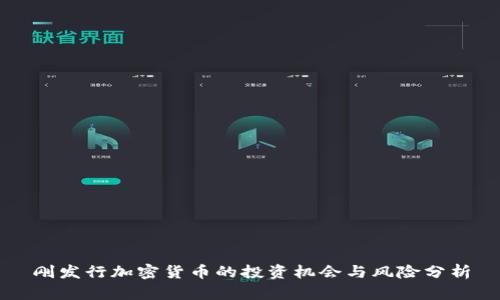 刚发行加密货币的投资机会与风险分析