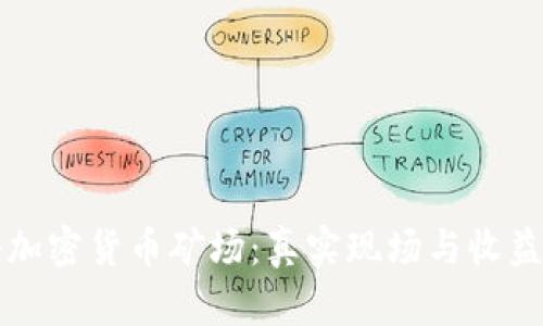 揭秘加密货币矿场：真实现场与收益分析