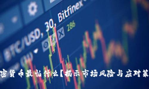 加密货币最怕什么？揭示市场风险与应对策略