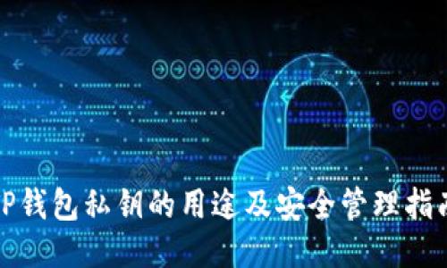 TP钱包私钥的用途及安全管理指南