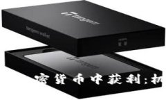 如何在USD加密货币中获利：机会与策略