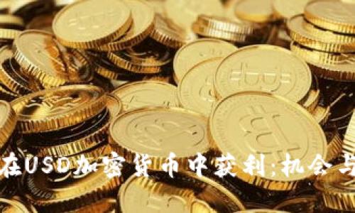如何在USD加密货币中获利：机会与策略