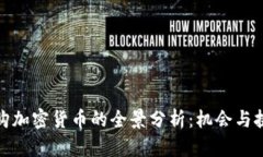 德国收购加密货币的全景分析：机会与挑战并存