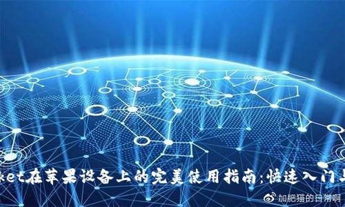 TokenPocket在苹果设备上的完美使用指南：快速入门与安全提示