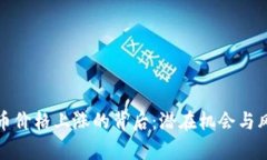 加密货币价格上涨的背后：潜在机会与风险分析