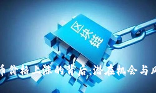 加密货币价格上涨的背后：潜在机会与风险分析