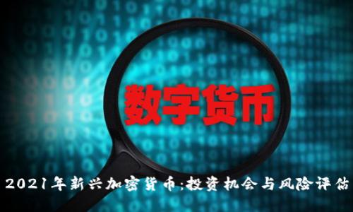 2021年新兴加密货币：投资机会与风险评估