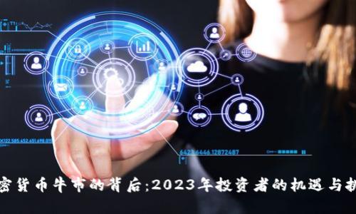 加密货币牛市的背后：2023年投资者的机遇与挑战