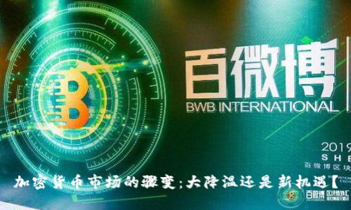 加密货币市场的骤变：大降温还是新机遇？