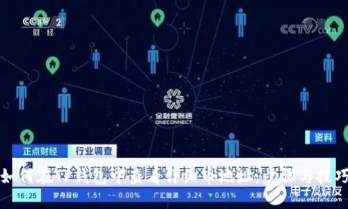 如何在TP钱包中查看详细币地址：步骤与技巧