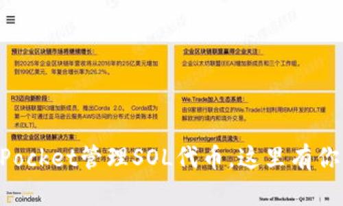如何使用TokenPocket管理SOL代币，这里有你想要的全部信息