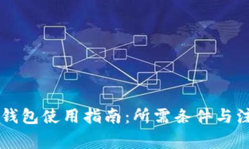 国内TP钱包使用指南：所需条件与注意事项