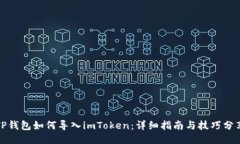 TP钱包如何导入imToken：详细指南与技巧分享