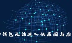 解决TP钱包无法进入的原因与应对措施
