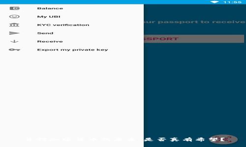 并行加密货币的未来：是否真有希望？