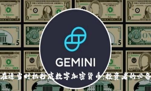 如何在适当时机抄底数字加密货币：投资者的必备指南