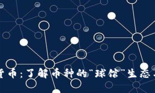 探索加密货币：了解币种的“球馆”生态与投资潜力