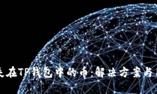 如何找回消失在TP钱包中的币：解决方案与用户经验分享