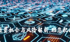 INE加密货币：投资机会与风险解析，助您把握数