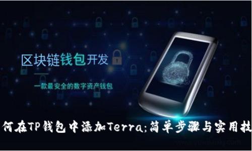 如何在TP钱包中添加Terra：简单步骤与实用技巧